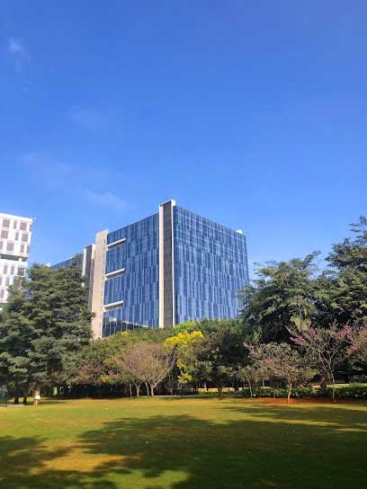 Yenepoya University Bangalore